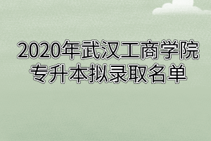 2020年武汉工商学院专升本拟录取名单