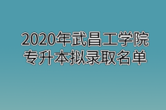 2020年武昌工学院专升本拟录取名单