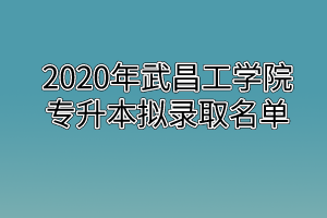 2020年武昌工学院专升本拟录取名单