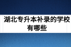 湖北专升本补录的学校有哪些