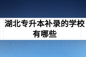 湖北专升本补录的学校有哪些
