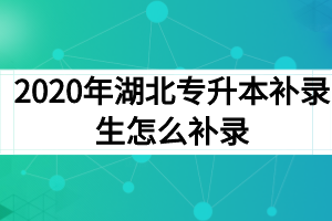 2020年湖北专升本补录生怎么补录