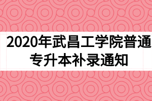 2020年武昌工学院普通专升本补录通知