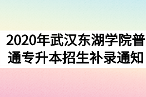 2020年武汉东湖学院普通专升本招生补录通知