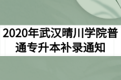 2020年武汉晴川学院普通专升本补录通知