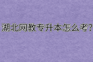 湖北网教专升本怎么考?