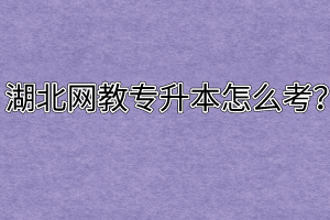 湖北网教专升本怎么考？