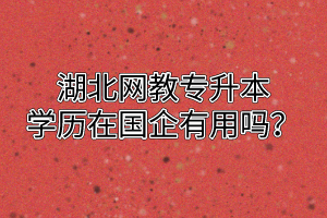 湖北网教专升本学历在国企有用吗?