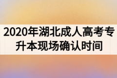 2020年湖北成人高考专升本现场确认时间什么时候