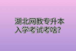 湖北网教专升本入学考试考啥?