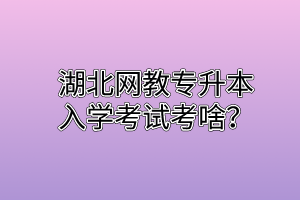 湖北网教专升本入学考试考啥？