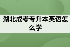 湖北成考专升本英语怎么学？