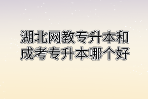 湖北网教专升本和成考专升本哪个好