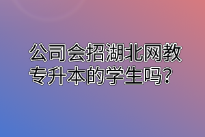 公司会招湖北网教专升本的学生吗？