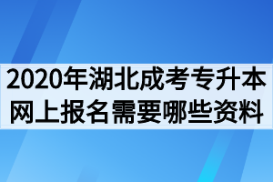 2020年湖北成考专升本网上报名需要哪些资料