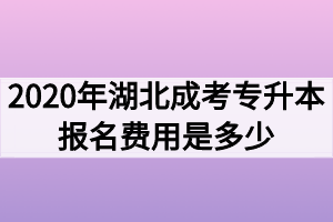 2020年湖北成考专升本报名费用