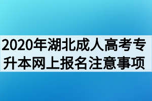 2020年湖北成人高考专升本网上报名注意事项