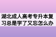 湖北成人高考专升本复习总是学了又忘怎么办？