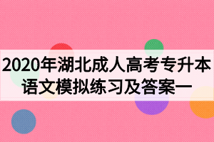 2020年湖北成人高考专升本语文模拟练习及答案一