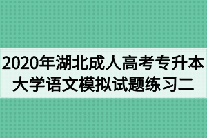 2020年湖北成人高考专升本大学语文模拟试题练习二