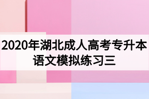2020年湖北成人高考专升本语文模拟练习三