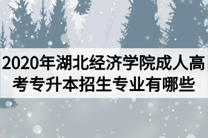 2020年湖北经济学院成人高考专升本招生专业有哪些