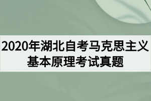 2020年湖北自考马克思主义基本原理考试真题