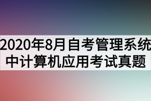 2020年8月湖北自考管理系统中计算机应用考试真题