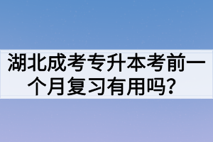 湖北成考专升本考前一个月复习有用吗？