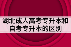 湖北成人高考专升本和自考专升本的区别有哪些