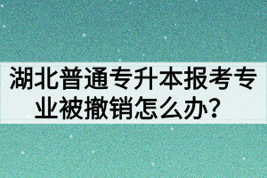 湖北普通专升本报考专业被撤销怎么办?
