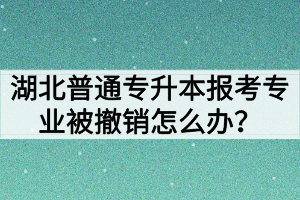 湖北普通专升本报考专业被撤销怎么办？