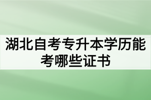 湖北自考专升本学历能考哪些证书？参加什么考试