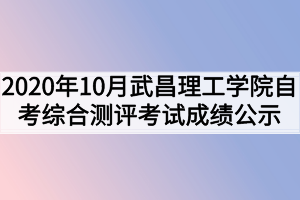 2020年10月武昌理工学院自考网络助学综合测评考试成绩公示
