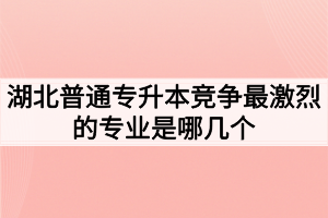 湖北普通专升本竞争最激烈的专业是哪几个?