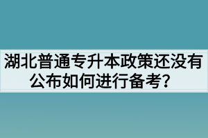 湖北普通专升本政策还没有公布如何进行备考?