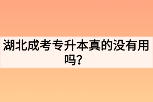 湖北成考专升本真的没有用吗？