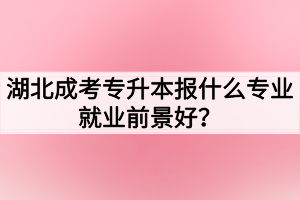 湖北成考专升本报什么专业就业前景好？