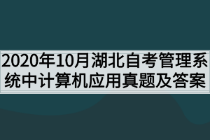 2020年10月湖北自考管理系统中计算机应用真题及答案