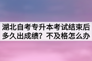 湖北自考专升本考试结束后多久出成绩？不及格怎么办？