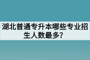 湖北普通专升本哪些专业招生人数最多？