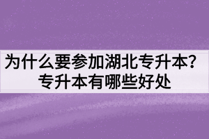 为什么要参加湖北专升本?专升本有哪些好处