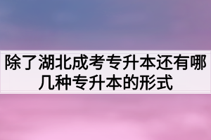 除了湖北成考专升本还有哪几种专升本的形式