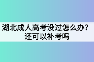 湖北成人高考没过怎么办？还可以补考吗