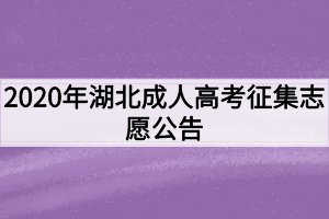2020年湖北成人高考征集志愿公告