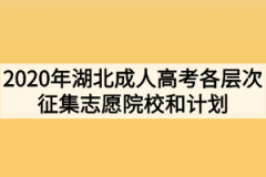 2020年湖北成人高考各层次征集志愿院校和计划