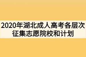 2020年湖北成人高考各层次征集志愿院校和计划