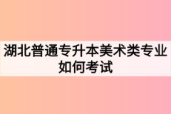 湖北普通专升本美术类专业如何考试