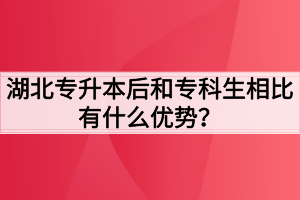 湖北专升本后和专科生相比有什么优势?
