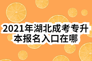 2021年湖北成考专升本报名入口在哪